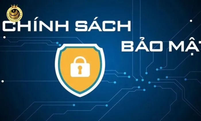 chính sách bảo mật Chính sách bảo mật giúp ngăn chặn sự phát triển của tội phạm mạng
